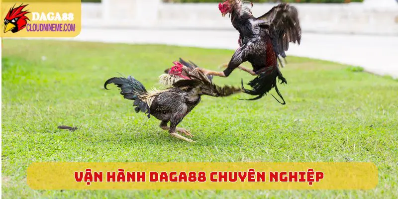 Vận hành Daga88 chuyên nghiệp, quy trình cực chuẩn